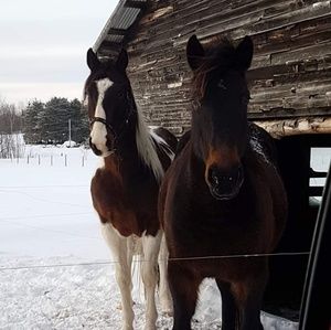 Meet your Posher, Morin